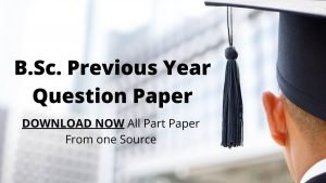 bsc prevous year question paper