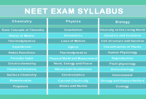 What are the key points of NEET syllabus